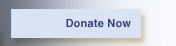 Donate Now